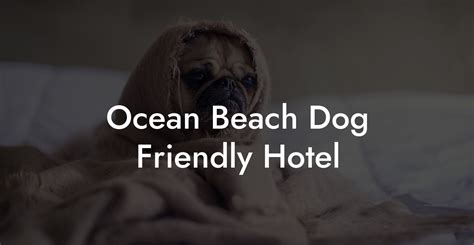 pet friendly hotels in ternate|The Best Pet Friendly Hotels in Ternate 2024 .